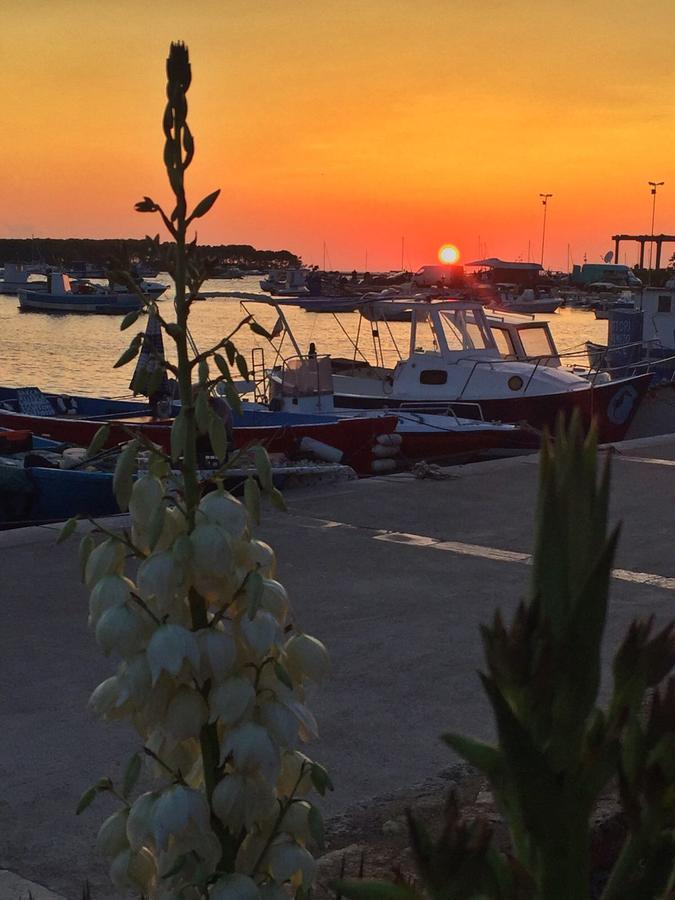 La Casa Di Ada E Gigi Vacanze Porto Cesareo Dış mekan fotoğraf